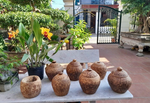 Đặc Biệt